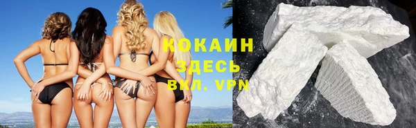 spice Богородицк