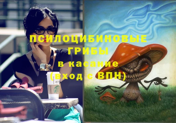 гидра Бородино