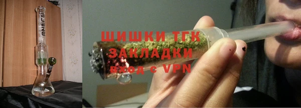 гидра Бородино