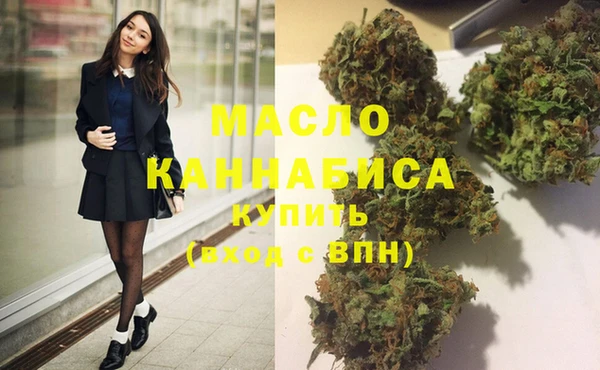 spice Богородицк