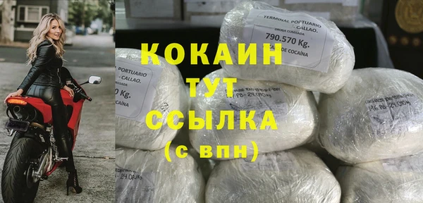 гидра Бородино