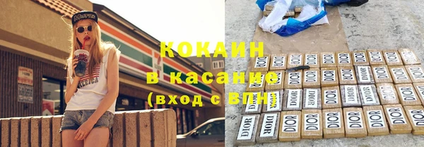 spice Богородицк
