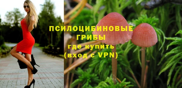 гидра Бородино